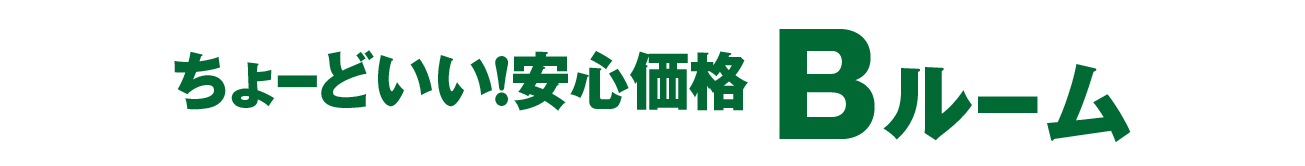 ちょーどいい！安心価格Bルーム
